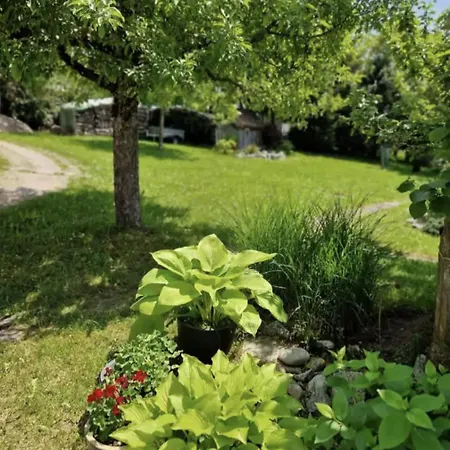 Schwarzwald Monteure