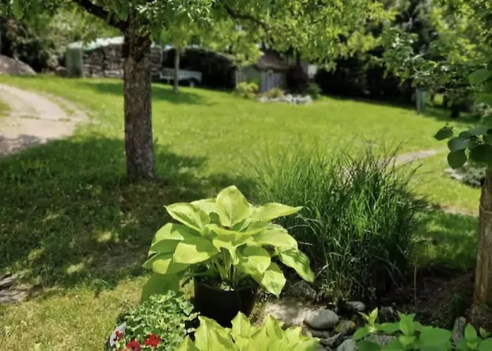 Schwarzwald Monteure